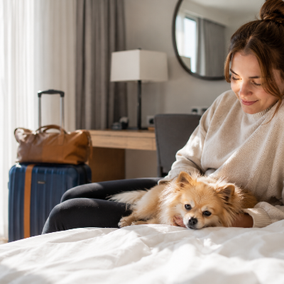 Dog resting beside its owner in a hotel room while adjusting to a new environment during separation anxiety recovery.